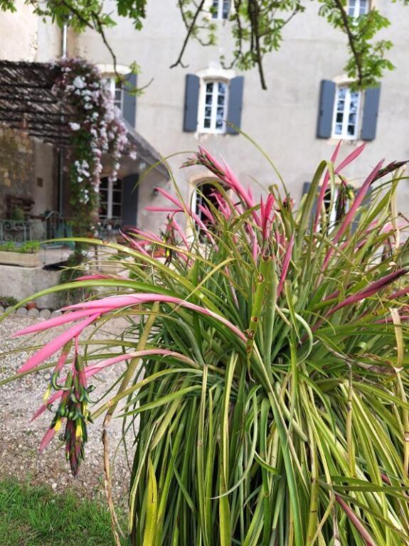Domaine De Capoulade Bed & Breakfast Narbonne Ngoại thất bức ảnh