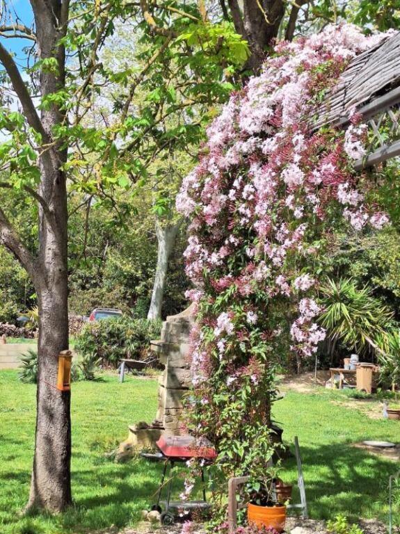 Domaine De Capoulade Bed & Breakfast Narbonne Ngoại thất bức ảnh